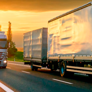 autotransporte de carga terrestre 2